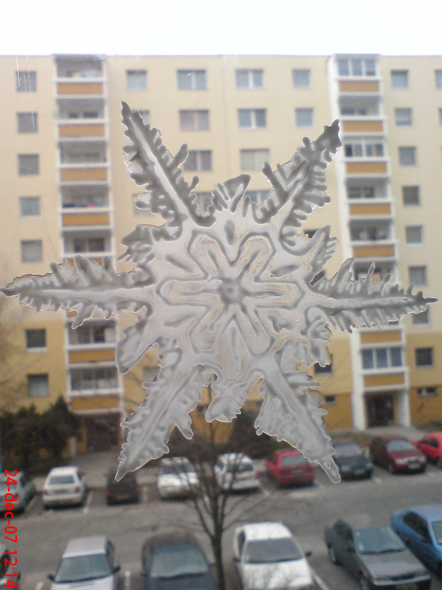 21.JPG