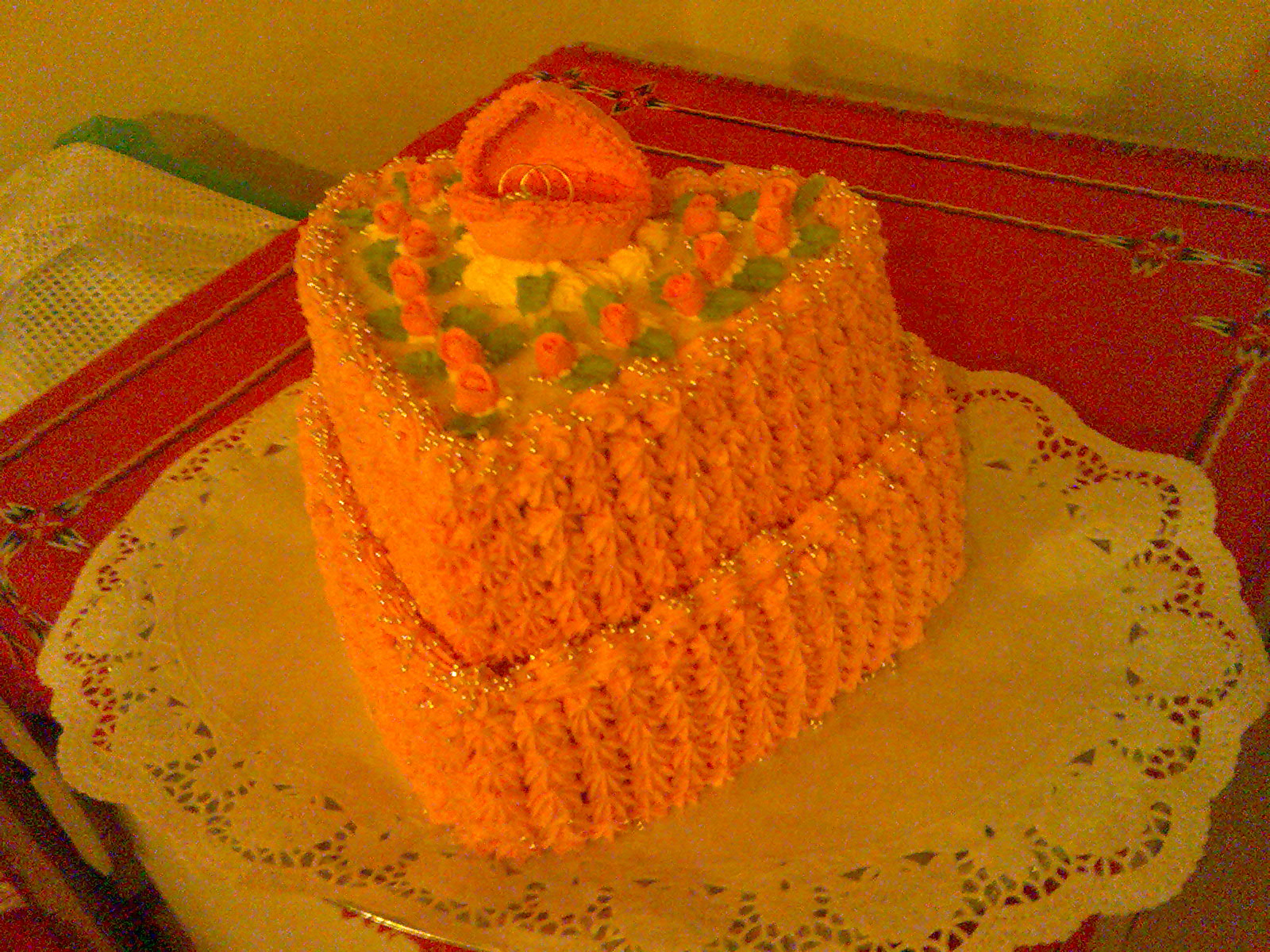 Srdce  021 26.2.2009  odchod18.00